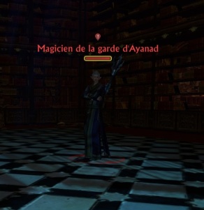 Magicien de la garde d'Ayanad